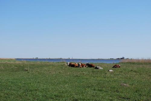 Agroturismo Antsu Talu