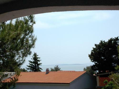 Apartment Vir