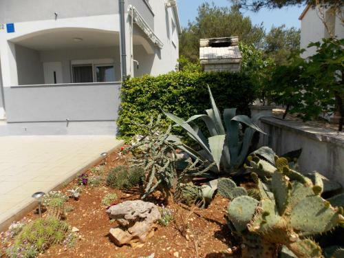 Apartment Vir