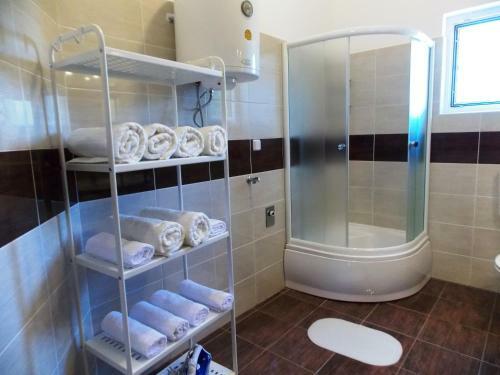Apartment Vir