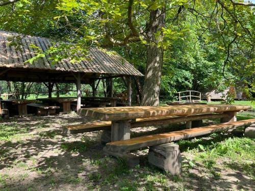 Kamp Na Otoku - Ljubno Ob Savinji