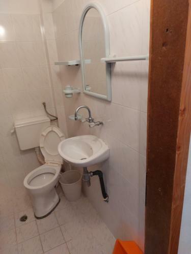 Hostal Guest House - Viktor