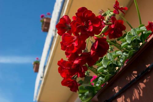 Hostal Affitta Camere Elena