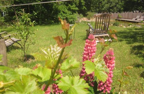 Apartamento Eco-logis Du Vignoble
