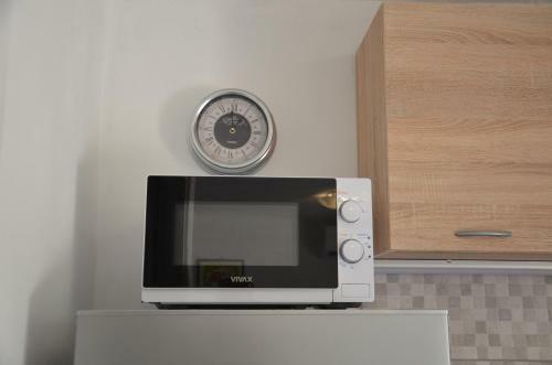Studio Apartment Mileta