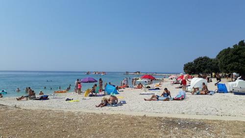 Apartman Roko
