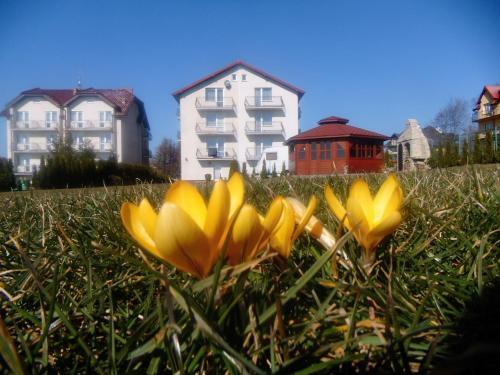 Bed & Breakfast Agat Jastrz?bia G�ra