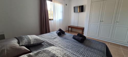 Fuerteventura Apartments Tamarindo II