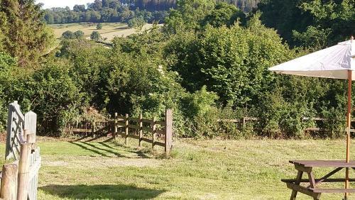 Bed & Breakfast Luxury Log Cabin With Views Of The Devon Countryside