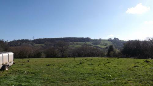 Bed & Breakfast Luxury Log Cabin With Views Of The Devon Countryside