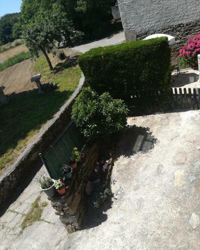 Marela