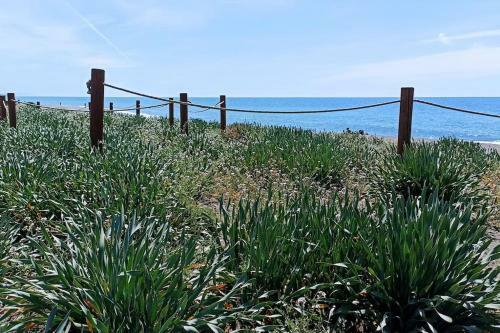 Bonito Apartamento En Chilches. M�laga