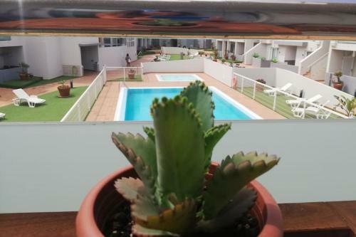 Apartamento Blue Ocean Corralejo: Sunny Terrace, Pool, Wifi