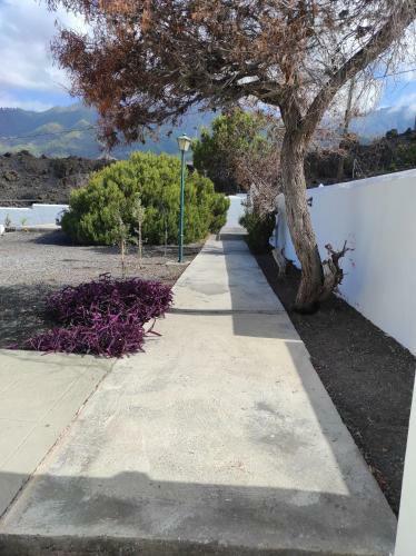 Apartamento Cr�ter 2