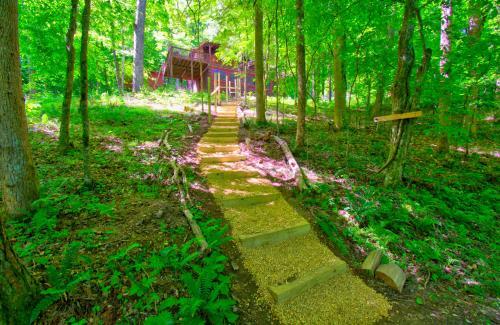 Loony Bear Cabin Is Pet Friendly With Wood Stove Creekside Firepit