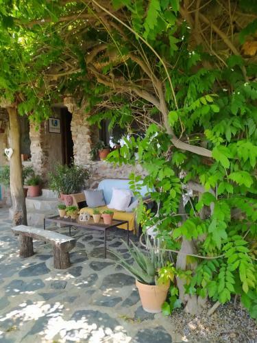 Bed & Breakfast Cortijo La Chaparra