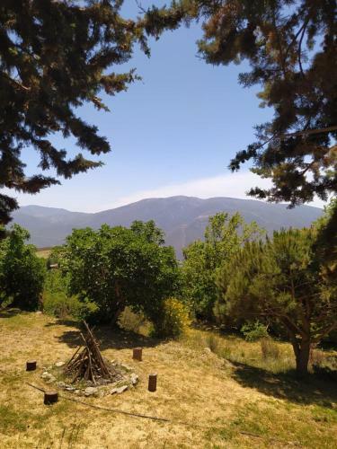Bed & Breakfast Cortijo La Chaparra