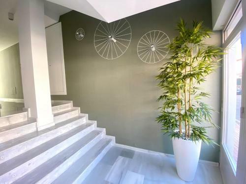 Apartamentos 525 Los Narejos
