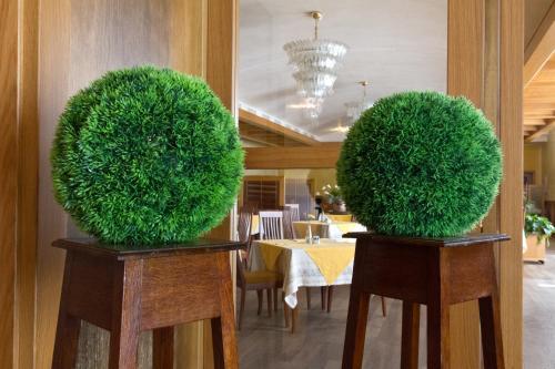 Hotel Albergo Roma