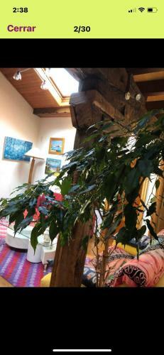 Apartamento Reinosa-cantabria Casa de Piedra