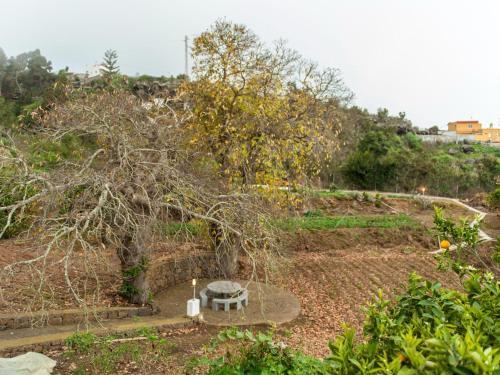 Holiday Home, Finca de Los Casta�os
