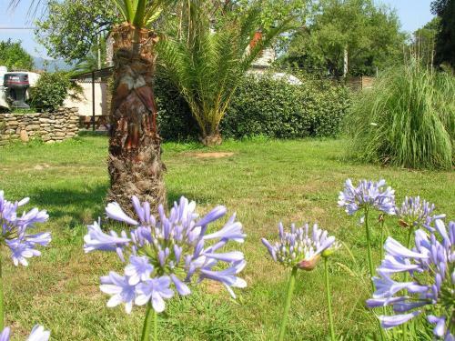 Holiday Home Cigale Moriani Plage