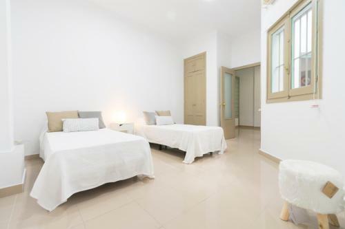 Apartamento Piso Calle Ancha Centro