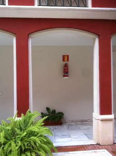 Apartamento Conde De Ibarra