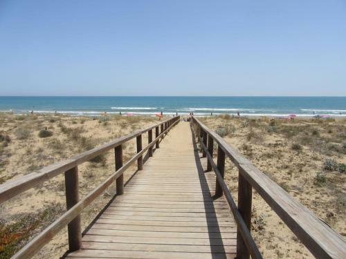 Apartment Near La Mata Beach