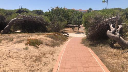 Apartment Near La Mata Beach