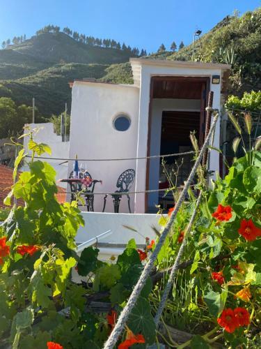 Agroturismo Angel Caves Farmstay