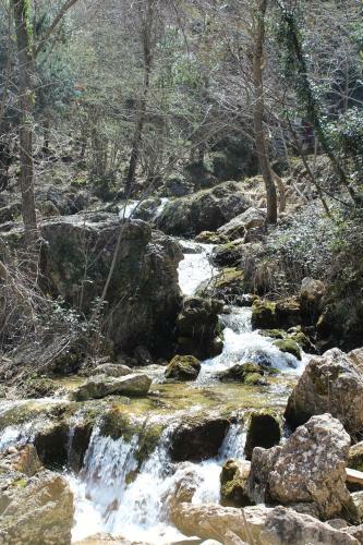 Cortijo De Las Ca�adas