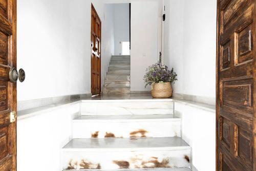 Apartamentos Vex�r 1