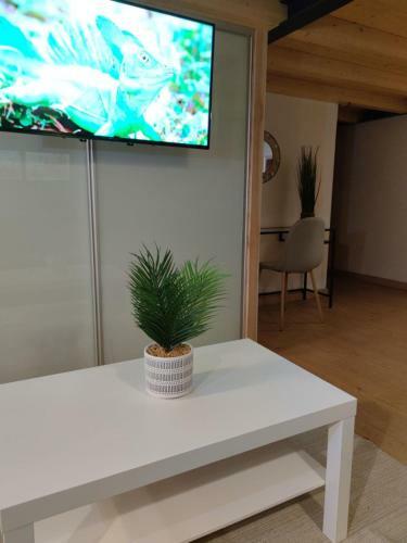 Apartamento Doctor Cadaval