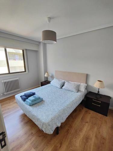 Apartamento Piso Centro 4habitaciones Garaje Rosal�a de Castro