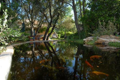 Bed & Breakfast La Ferme