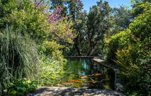 Bed & Breakfast La Ferme