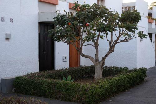 Apartamento Primavera & Sun