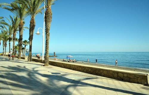 Apartamento Urbanizaci�n Centro Internacional