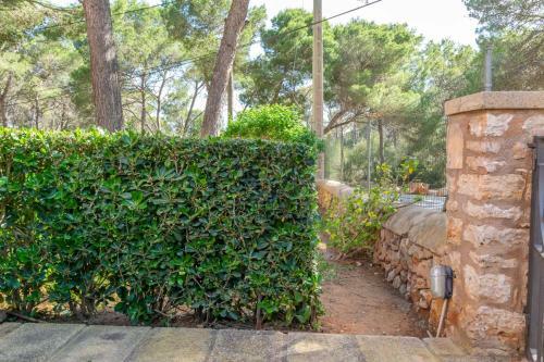 Apartamento Barca Trencada