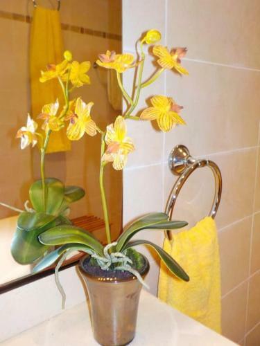 Apartamento Merc�, Delta Del Ebro, Entero