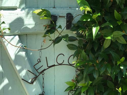 Bed & Breakfast Serendipity