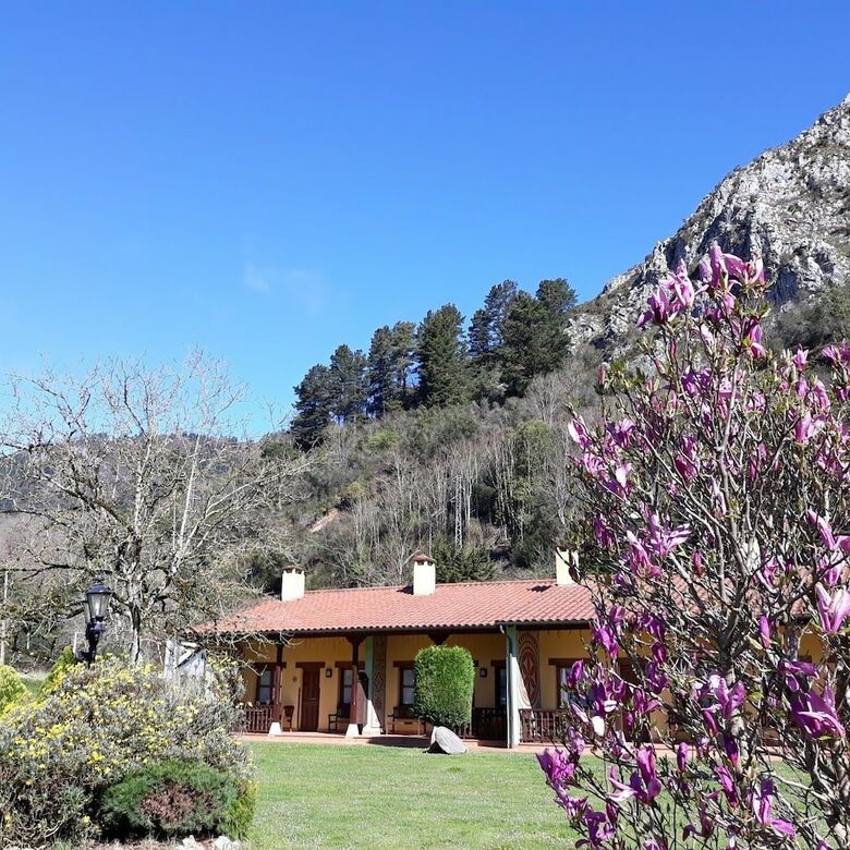 Apartamentos Camin De Pelayo