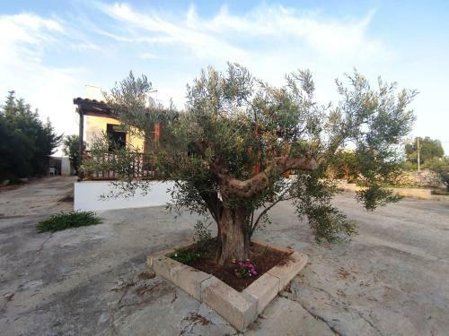 Apartamento Tenuta Rizzello