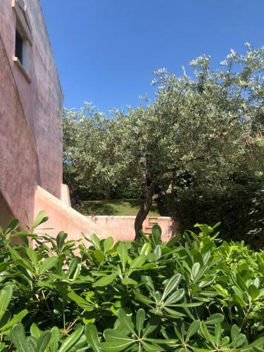 Apartamento Residence Uliveto App 33 Birgalavo'