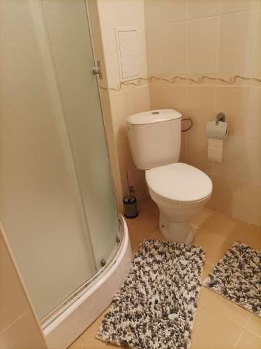 Apartm�n 1+kk Na Slune?n�m Pob?e?�
