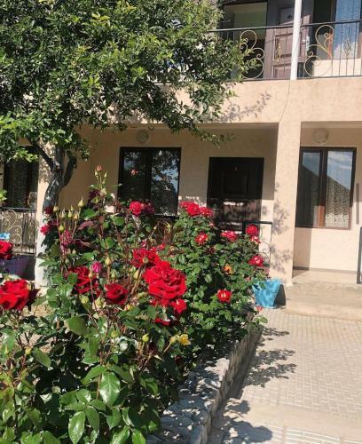 Hostal Homedom