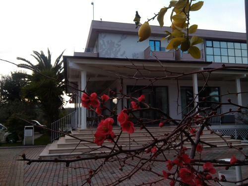 Hotel Parco Degli Ulivi