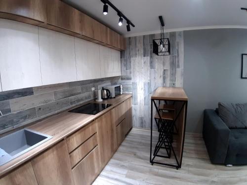 Apartment Lux Tolstogo 90. ??????????? ???? ???????? 90