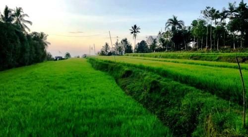 Taman Puri Sangkih